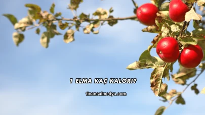 1 Elma Kaç Kalori?