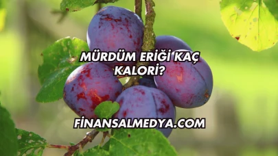 Mürdüm Eriği Kaç Kalori?
