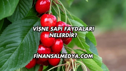 Vişne Sapı Faydaları Nelerdir?