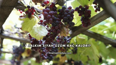 1 Salkım Siyah Üzüm Kaç Kalori?