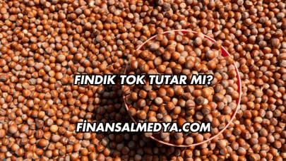 Fındık Tok Tutar mı?