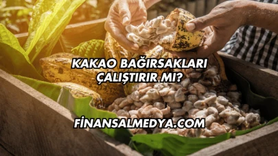 Kakao Bağırsakları Çalıştırır mı?
