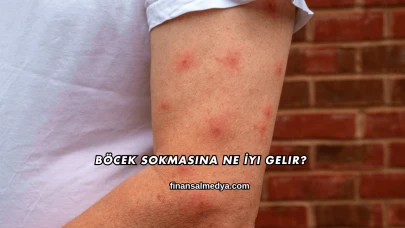 Böcek Sokmasına Ne İyi Gelir?