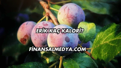 Erik Kaç Kalori?