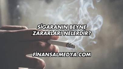 Sigaranın Beyne Zararları Nelerdir?