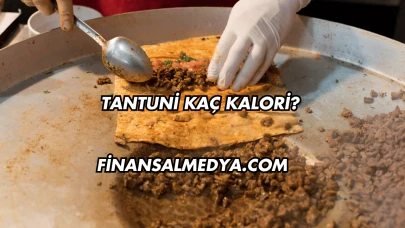 Tantuni Kaç Kalori?