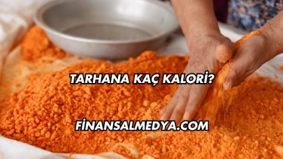 Tarhana Kaç Kalori?