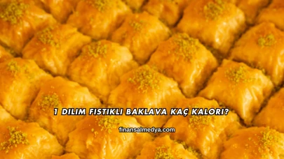 1 Dilim Fıstıklı Baklava Kaç Kalori?