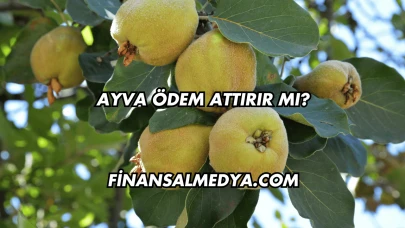 Ayva Ödem Attırır mı?