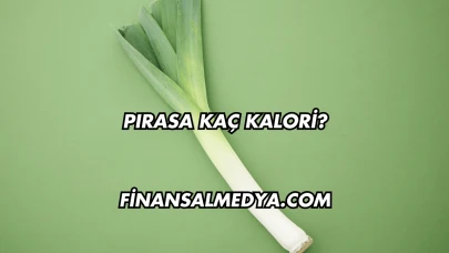 Pırasa Kaç Kalori?
