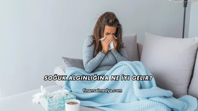 Soğuk Algınlığına Ne İyi Gelir?