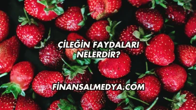 Çileğin Faydaları Nelerdir?