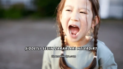 Şiddetli Sesin Zararları Nelerdir?