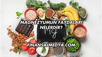 Magnezyumun Faydaları Nelerdir?