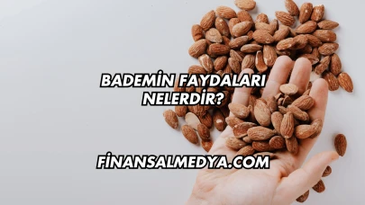Bademin Faydaları Nelerdir?