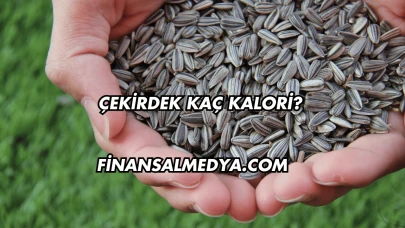 Çekirdek Kaç Kalori?