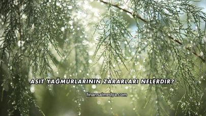 Asit Yağmurlarının Zararları Nelerdir?