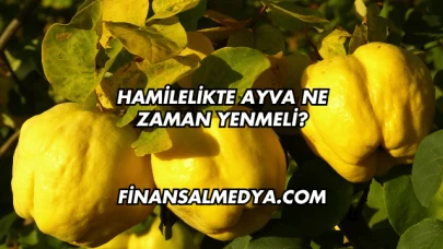 Hamilelikte Ayva Ne Zaman Yenmeli?