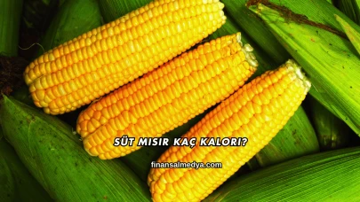 Süt Mısır Kaç Kalori?