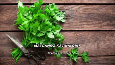 Maydanoz Kaç Kalori?