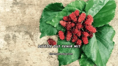 Diyette Dut Yenir mi?