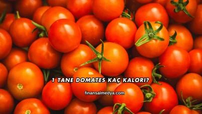 1 Tane Domates Kaç Kalori?