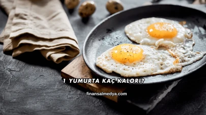 1 Yumurta Kaç Kalori?