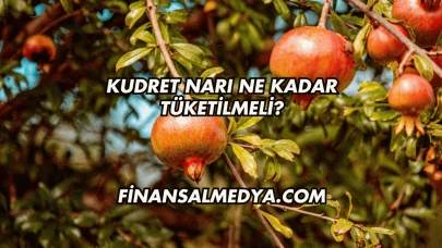 Kudret Narı Ne Kadar Tüketilmeli?
