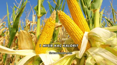 1 Mısır Kaç Kalori?