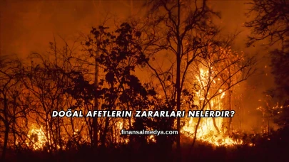 Doğal Afetlerin Zararları Nelerdir?