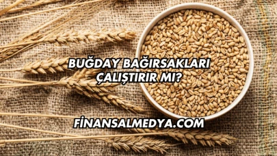 Buğday Bağırsakları Çalıştırır mı?