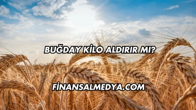 Buğday Kilo Aldırır mı?