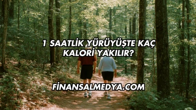 1 Saatlik Yürüyüşte Kaç Kalori Yakılır?
