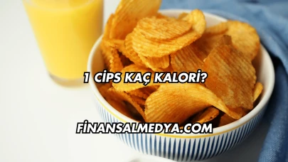 1 Cips Kaç Kalori?