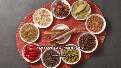Kimyon Yağ Yakar mı?