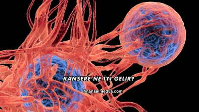 Kansere Ne İyi Gelir?
