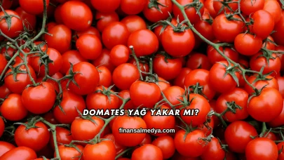 Domates Yağ Yakar mı?