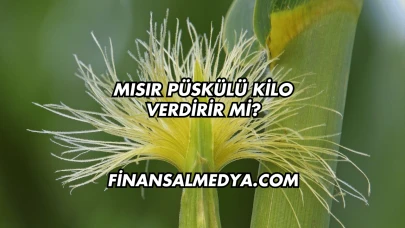 Mısır Püskülü Kilo Verdirir mi?