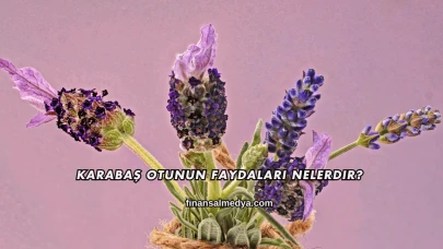 Karabaş Otunun Faydaları Nelerdir?