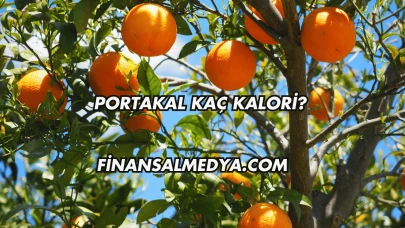 Portakal Kaç Kalori?