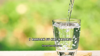 1 Bardak Su Kaç Kalori?