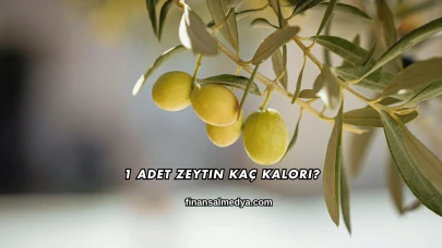 1 Adet Zeytin Kaç Kalori?