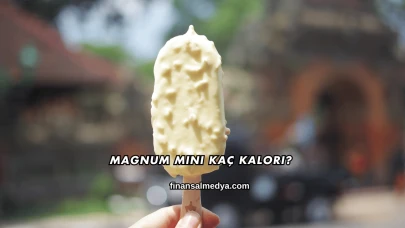 Magnum Mini Kaç Kalori?