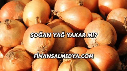 Soğan Yağ Yakar mı?