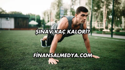 Şınav Kaç Kalori?