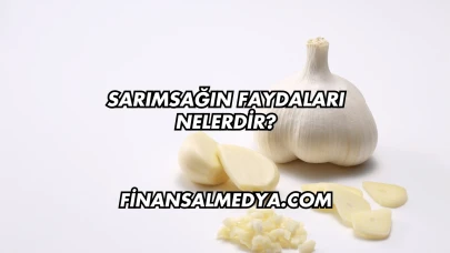 Sarımsağın Faydaları Nelerdir?