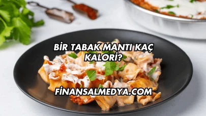Bir Tabak Mantı Kaç Kalori?