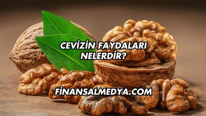Cevizin Faydaları Nelerdir?