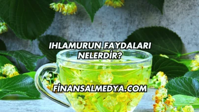 Ihlamurun Faydaları Nelerdir?