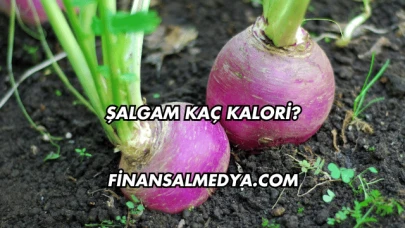 Şalgam Kaç Kalori?